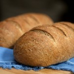 Back to basics: 100% whole wheat bread