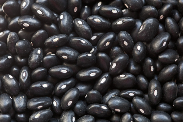 Black Turtle Beans