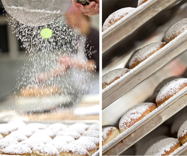 Powder sugar covered paczki