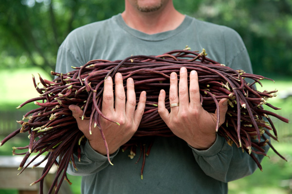 Chinese Red Noodle Beans