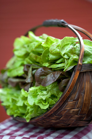 grilled_lettuce-1