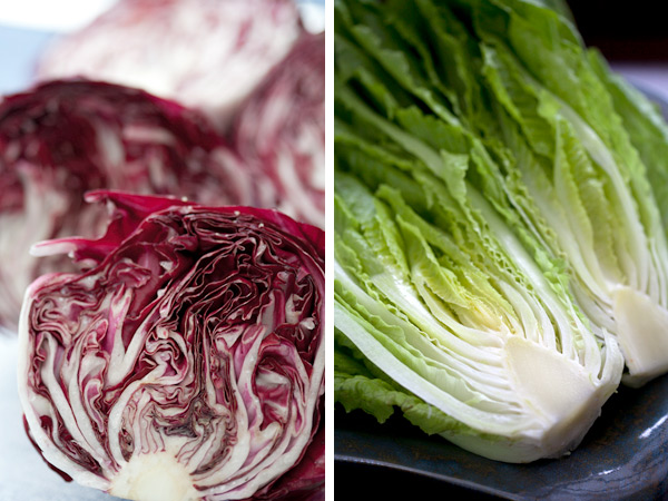 Radicchio and romaine lettuce