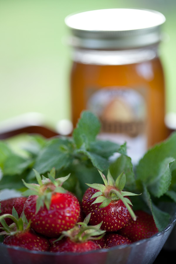 Local honey and freshly picked strawberries