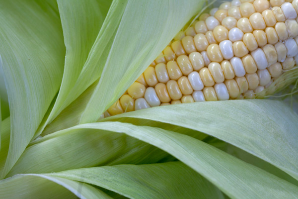 roasted_corn-4