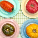 Bye-bye tomatoes