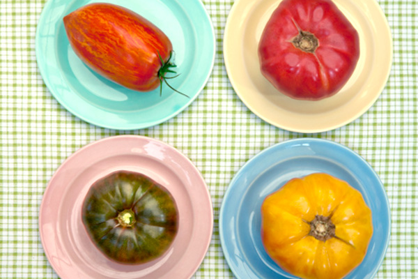 tomatoes04