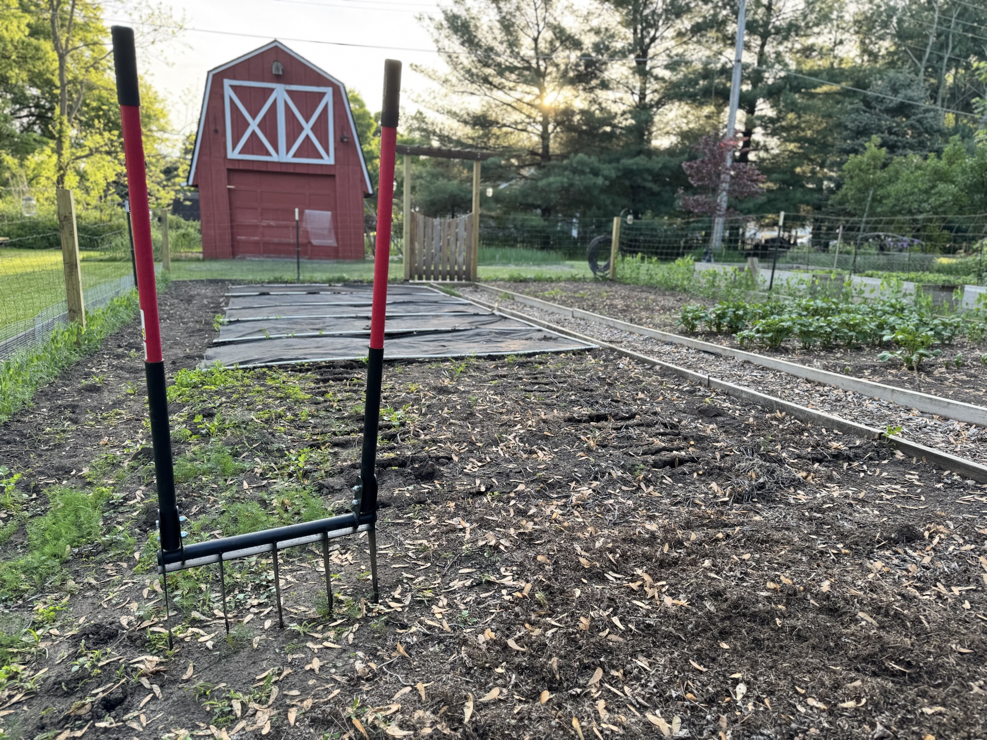 broad fork in the garden