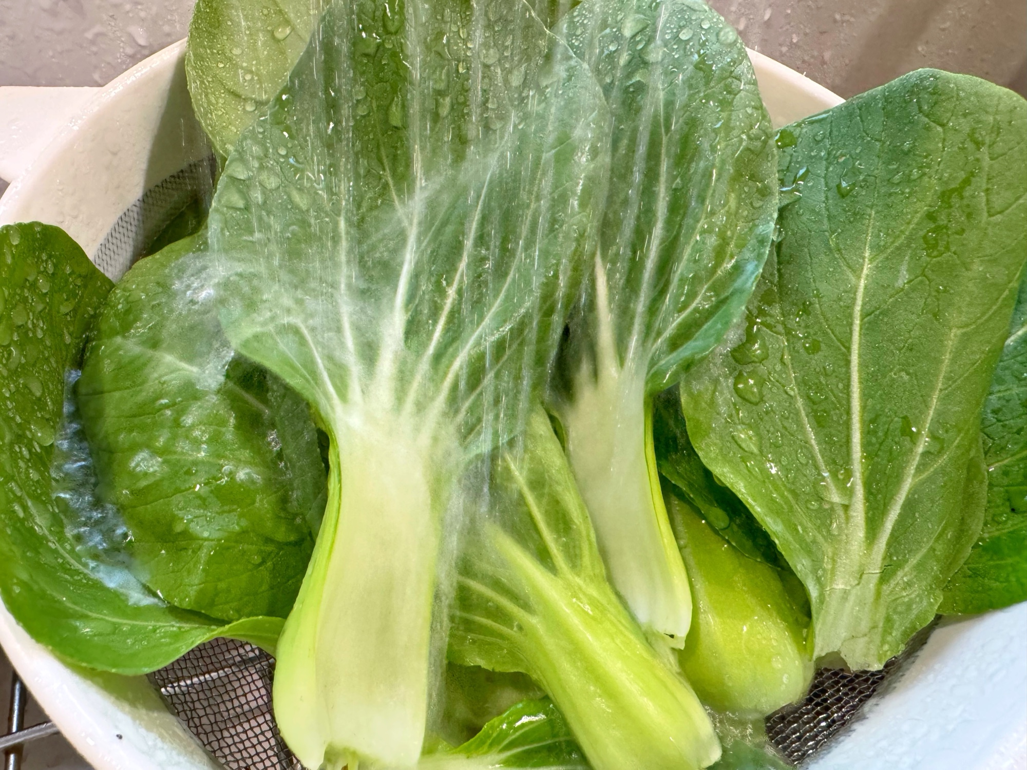 Baby Bok Choy